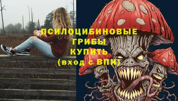скорость mdpv Гусь-Хрустальный