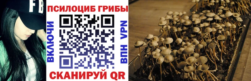 Галлюциногенные грибы Psilocybine cubensis  Углегорск 